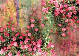 Digitalni tisk svileni šal proizvajalec Kitajska